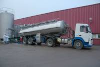 Fabrication du fromage - Livraison du lait à l'usine de traitement